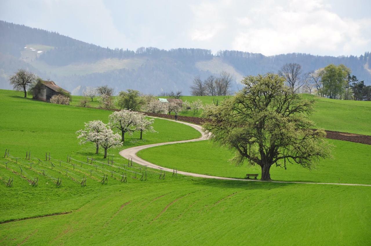 B&B Zum Rossli Zunzgen Bagian luar foto