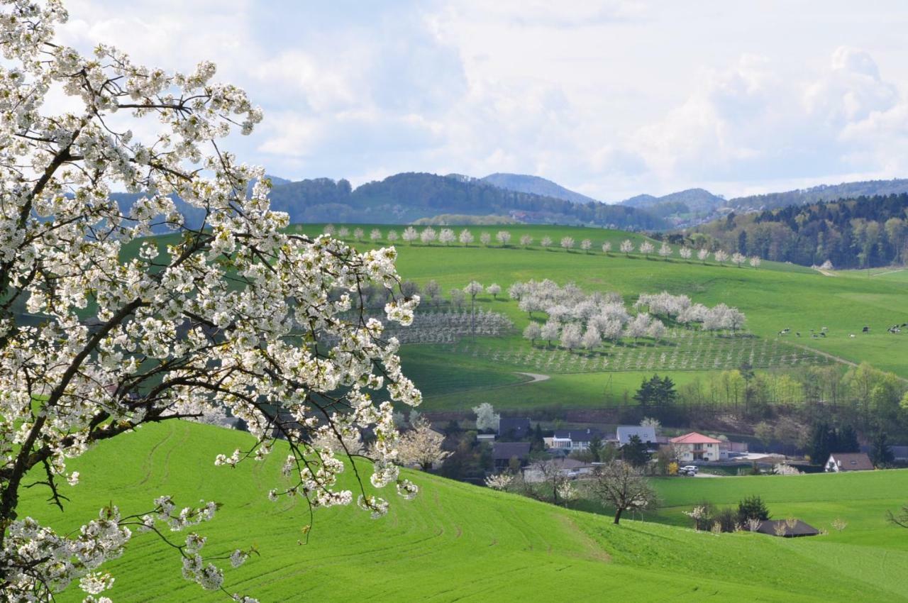 B&B Zum Rossli Zunzgen Bagian luar foto